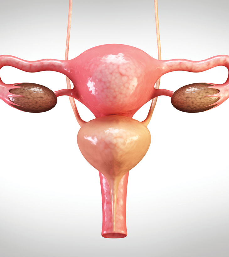 5-things-to-know-about-uterus-removal-this-quarterly