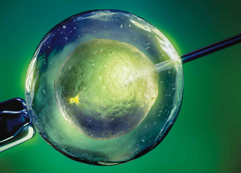 IVF An Art for The Ages This Quarterly